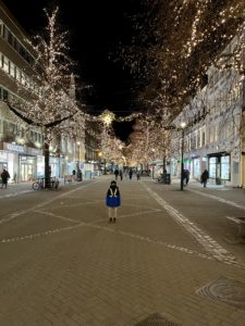 Trondheim at winter, just before the snow came. Christmas/New Year